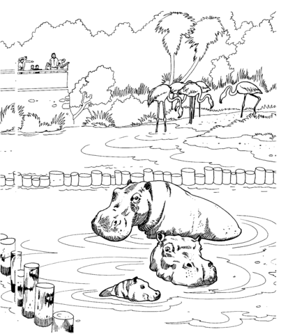 Hippopotamus In A Zoo Pond Coloring Page